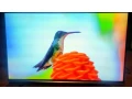 predam-4kuhd-smart-tv-lg58uf8307-147cm-wifi-small-4