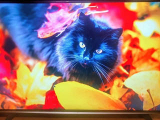 predam-4kuhd-smart-tv-lg58uf8307-147cm-wifi