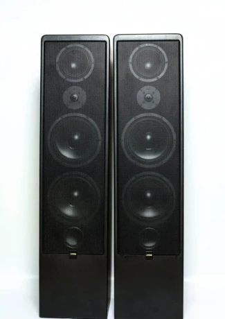canton-ergo-100-dc-big-3