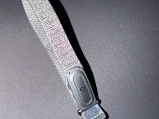 google-fitbit-air