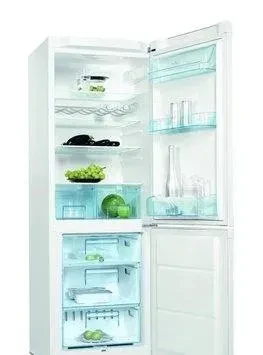 predam-chladnicku-s-mraznickou-electrolux-erb34003w8-big-1