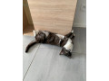 nevratila-sa-domov-small-3