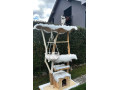 macaci-strom-small-2