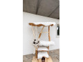 macaci-strom-small-0