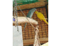 alexander-maly-small-0