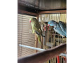 alexander-maly-small-2