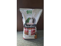 granule-pre-velke-papagaje-versele-laga-nutribird-p15-tropic-small-0