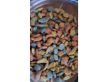 granule-pre-velke-papagaje-versele-laga-nutribird-p15-tropic-small-3