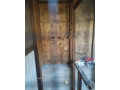 predam-kanariky-small-3