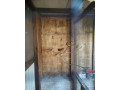 predam-kanariky-small-0