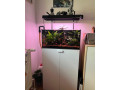 akvarium-vela-prislusenstva-small-0
