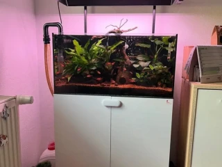 akvarium-vela-prislusenstva