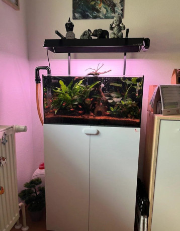 akvarium-vela-prislusenstva-big-0