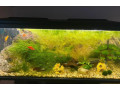 predam-akvarium-160l-small-0