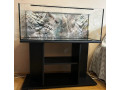predam-akvarium-160l-small-1