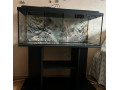 predam-akvarium-160l-small-2
