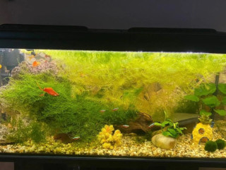 predam-akvarium-160l
