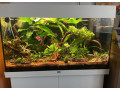 predam-kompletne-akvarium-juwel-rio-125-small-0