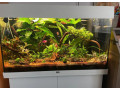 predam-kompletne-akvarium-juwel-rio-125-small-1
