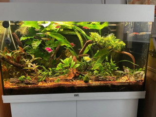predam-kompletne-akvarium-juwel-rio-125