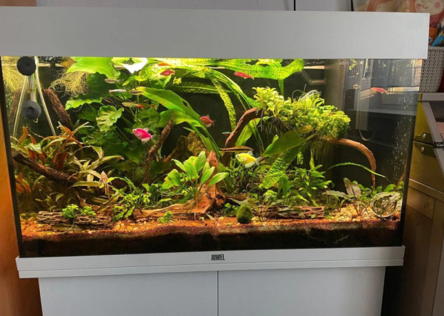 predam-kompletne-akvarium-juwel-rio-125-big-0