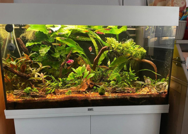predam-kompletne-akvarium-juwel-rio-125-big-1