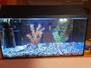 akvarium