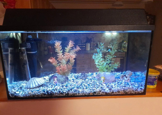 akvarium-big-0