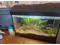 25l-akvarium-diversa-plne-zariadene-bojovnica-small-0