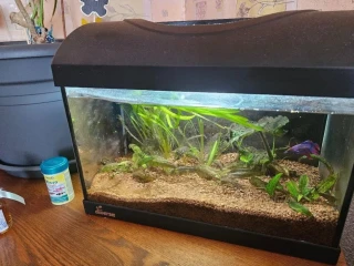 25l-akvarium-diversa-plne-zariadene-bojovnica