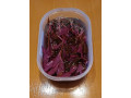 rastlinky-do-akvaria-small-0
