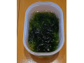 rastlinky-do-akvaria-small-4