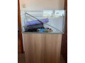 akvarium-so-stolikom-svetla-small-1
