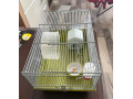 predam-klietku-pre-skrecka-small-0