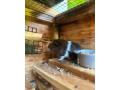 morcata-small-4