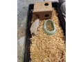 skrecok-s-klientkou-small-3