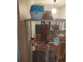 vakoveverica-small-1