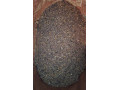 versele-laga-nosnice-gold4-mash-20-kg-small-3