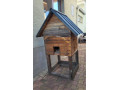 kurnik-pre-slieky-small-3