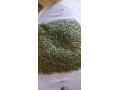granule-small-2