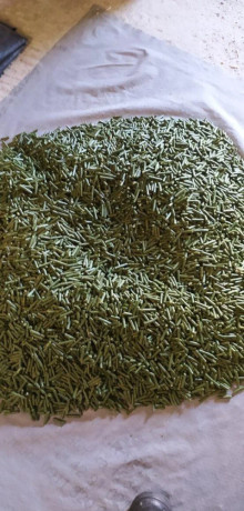 granule-big-2