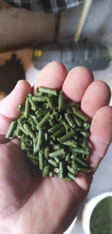 granule-big-3