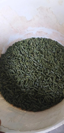 granule-big-4