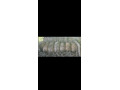 predam-mangalice-small-2