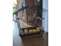 predam-velku-klietku-pre-stredne-vtactvo-small-1