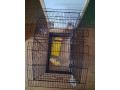 predam-velku-klietku-pre-stredne-vtactvo-small-0