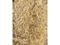 krmne-instantne-cestoviny-small-0