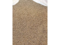 jacmen-small-1