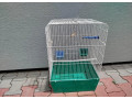 zelena-klietka-pre-drobne-vtactvo-small-1