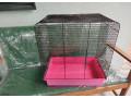 ruzova-klietka-pre-drobne-vtactvo-small-0